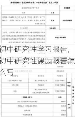 初中研究性学习报告,初中研究性课题报告怎么写