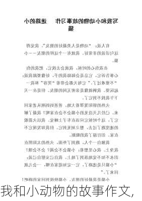 我和小动物的故事作文,