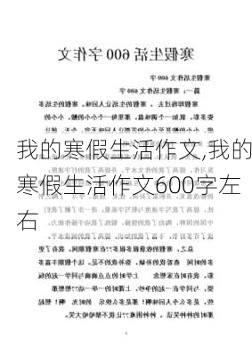 我的寒假生活作文,我的寒假生活作文600字左右