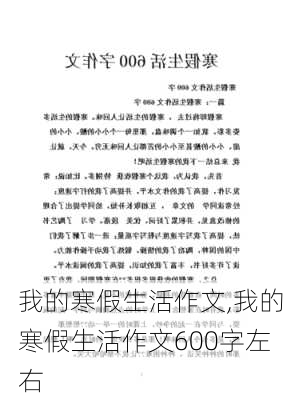 我的寒假生活作文,我的寒假生活作文600字左右