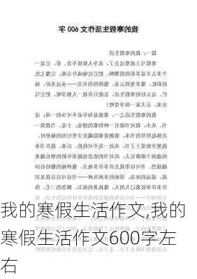 我的寒假生活作文,我的寒假生活作文600字左右