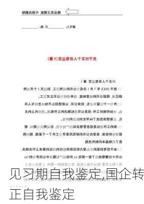 见习期自我鉴定,国企转正自我鉴定