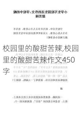 校园里的酸甜苦辣,校园里的酸甜苦辣作文450字