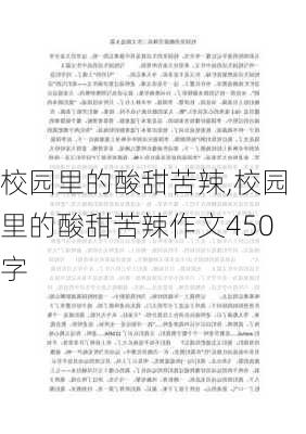 校园里的酸甜苦辣,校园里的酸甜苦辣作文450字