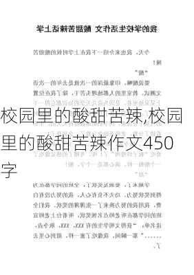 校园里的酸甜苦辣,校园里的酸甜苦辣作文450字