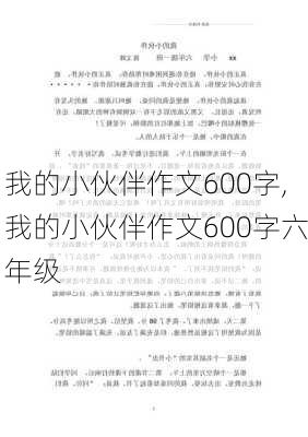 我的小伙伴作文600字,我的小伙伴作文600字六年级