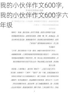 我的小伙伴作文600字,我的小伙伴作文600字六年级