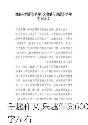 乐趣作文,乐趣作文600字左右