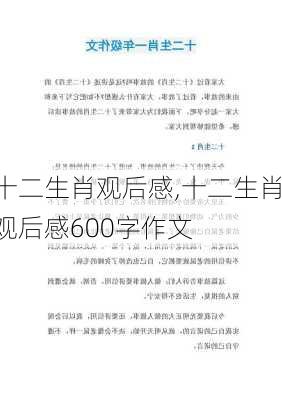 十二生肖观后感,十二生肖观后感600字作文