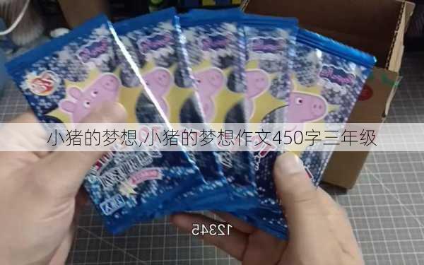 小猪的梦想,小猪的梦想作文450字三年级