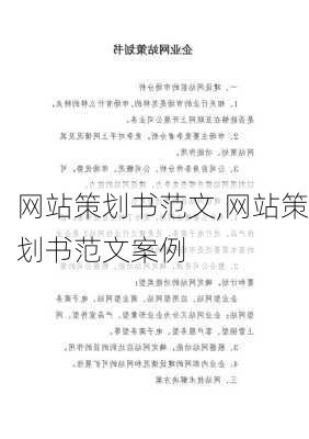 网站策划书范文,网站策划书范文案例