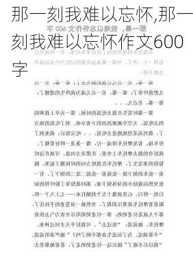 那一刻我难以忘怀,那一刻我难以忘怀作文600字