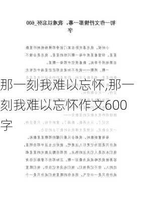 那一刻我难以忘怀,那一刻我难以忘怀作文600字