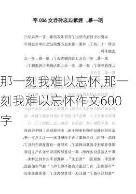 那一刻我难以忘怀,那一刻我难以忘怀作文600字