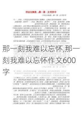 那一刻我难以忘怀,那一刻我难以忘怀作文600字