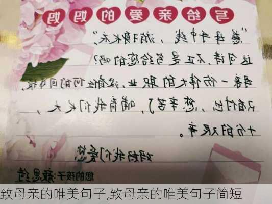 致母亲的唯美句子,致母亲的唯美句子简短