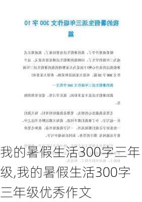 我的暑假生活300字三年级,我的暑假生活300字三年级优秀作文