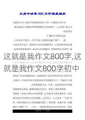 这就是我作文800字,这就是我作文800字初中