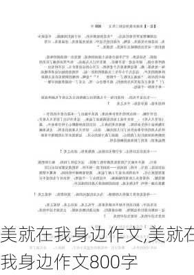 美就在我身边作文,美就在我身边作文800字