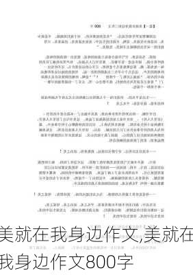 美就在我身边作文,美就在我身边作文800字