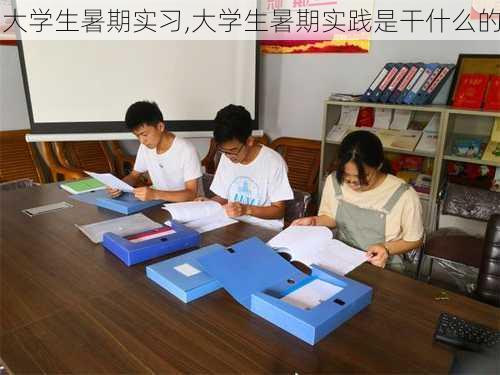 大学生暑期实习,大学生暑期实践是干什么的