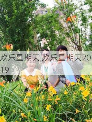 欢乐星期天,欢乐星期天2019