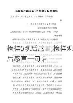 榜样5观后感言,榜样观后感言一句话