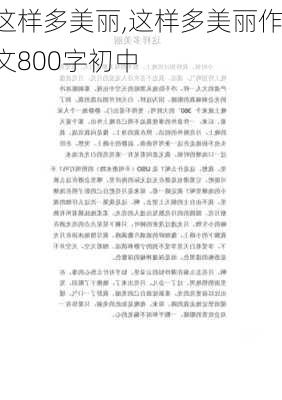 这样多美丽,这样多美丽作文800字初中