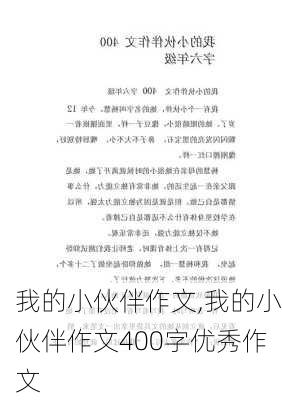 我的小伙伴作文,我的小伙伴作文400字优秀作文