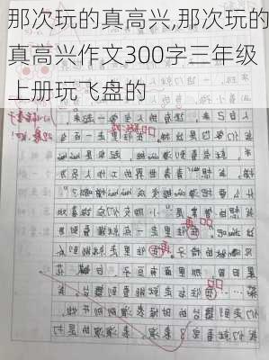 那次玩的真高兴,那次玩的真高兴作文300字三年级上册玩飞盘的