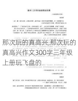 那次玩的真高兴,那次玩的真高兴作文300字三年级上册玩飞盘的