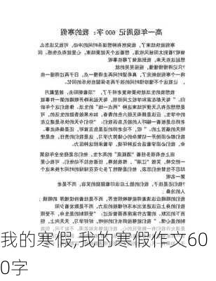 我的寒假,我的寒假作文600字