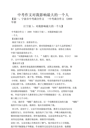 对我影响最大的一个人 作文,对我影响最大的一个人作文400字