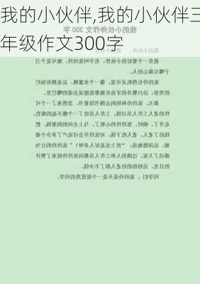 我的小伙伴,我的小伙伴三年级作文300字