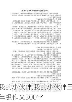 我的小伙伴,我的小伙伴三年级作文300字