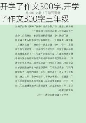 开学了作文300字,开学了作文300字三年级