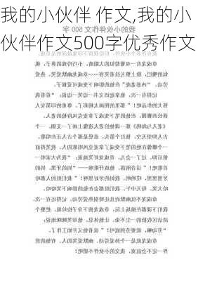 我的小伙伴 作文,我的小伙伴作文500字优秀作文