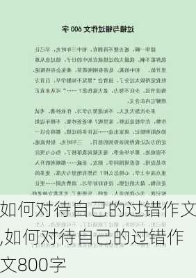 如何对待自己的过错作文,如何对待自己的过错作文800字