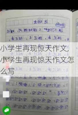 小学生再现惊天作文,小学生再现惊天作文怎么写