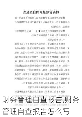 财务管理自查报告,财务管理自查报告怎么写