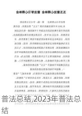 普法总结,2023年普法总结