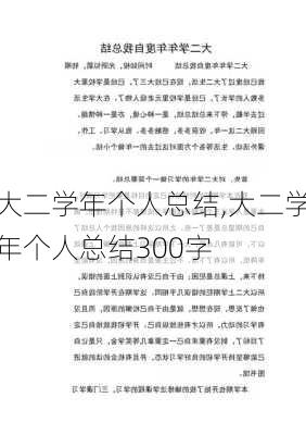 大二学年个人总结,大二学年个人总结300字