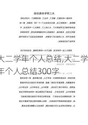 大二学年个人总结,大二学年个人总结300字