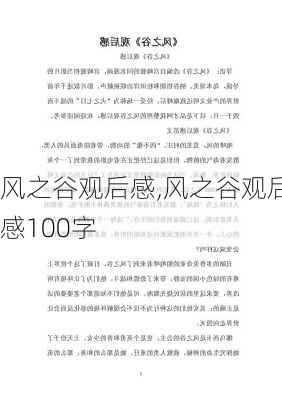 风之谷观后感,风之谷观后感100字