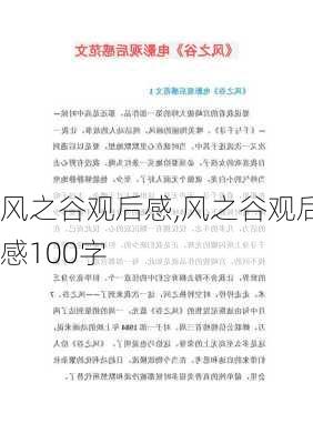 风之谷观后感,风之谷观后感100字