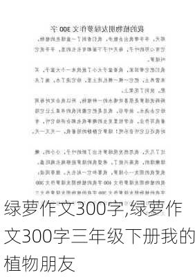 绿萝作文300字,绿萝作文300字三年级下册我的植物朋友