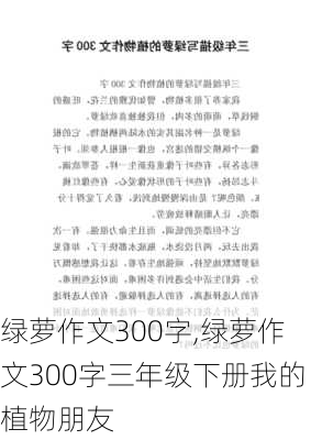 绿萝作文300字,绿萝作文300字三年级下册我的植物朋友