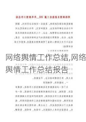 网络舆情工作总结,网络舆情工作总结报告