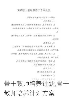 骨干教师培养计划,骨干教师培养计划方案