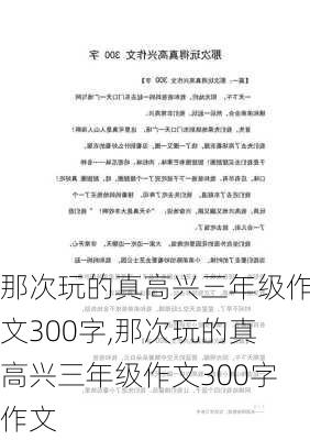 那次玩的真高兴三年级作文300字,那次玩的真高兴三年级作文300字作文